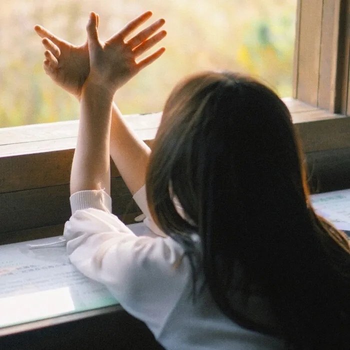 龙珠剧场版：迈向最强之道